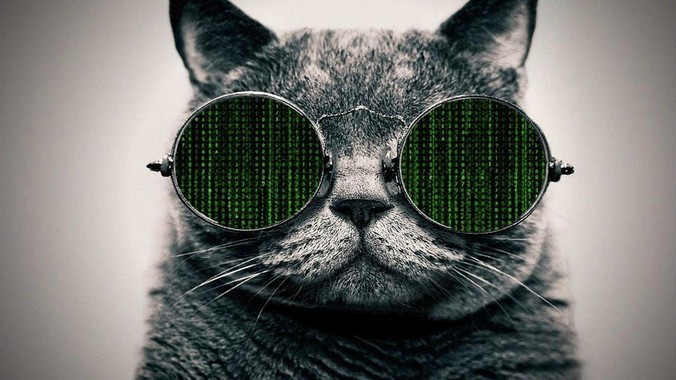 PHP和Node.js哪个更爽?